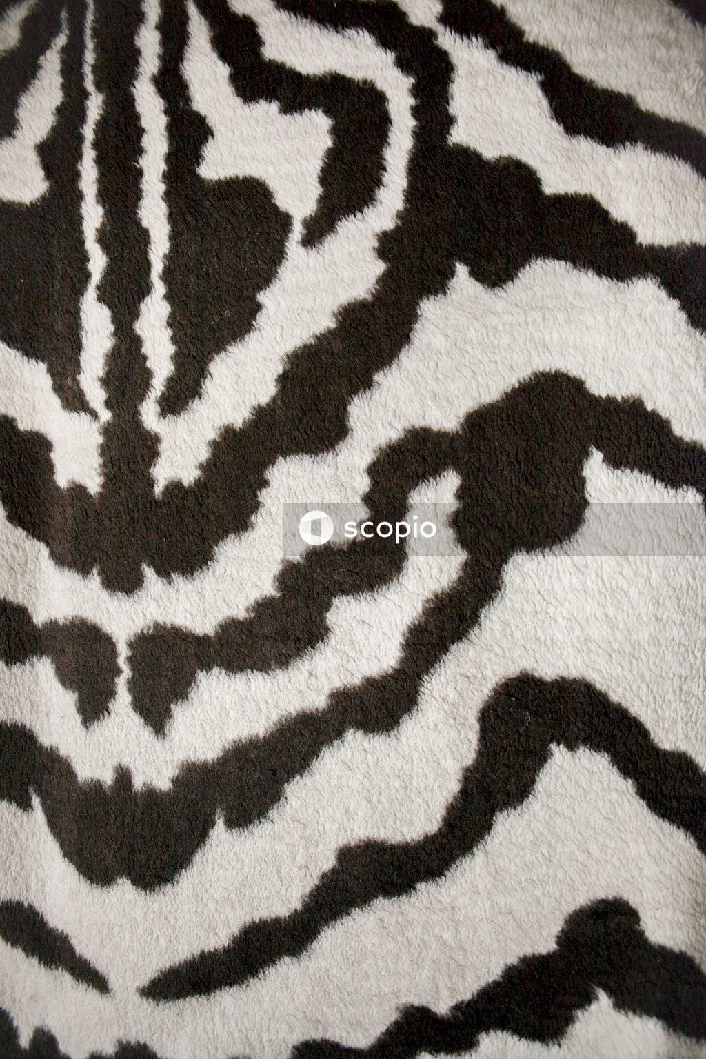 Black and white zebra textile