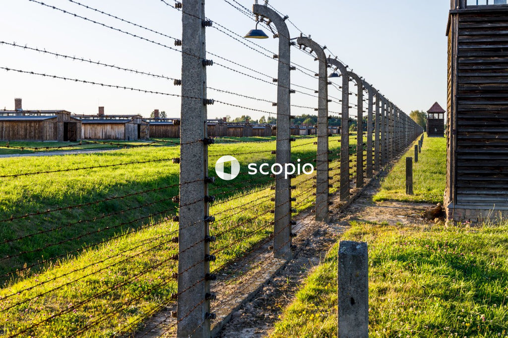 Black metal fence on green grass field