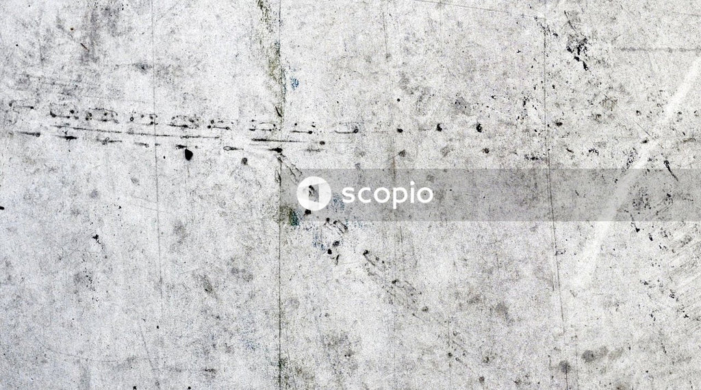 Blue and white flower on white concrete floor