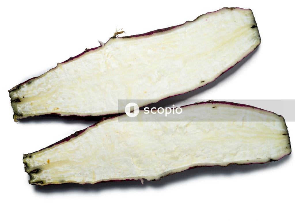 Blue and white leaf with white background