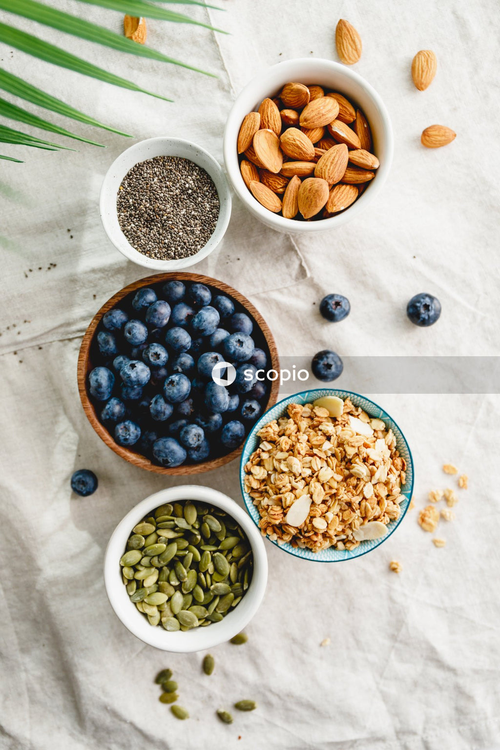 Blue berries on white ceramic bowl