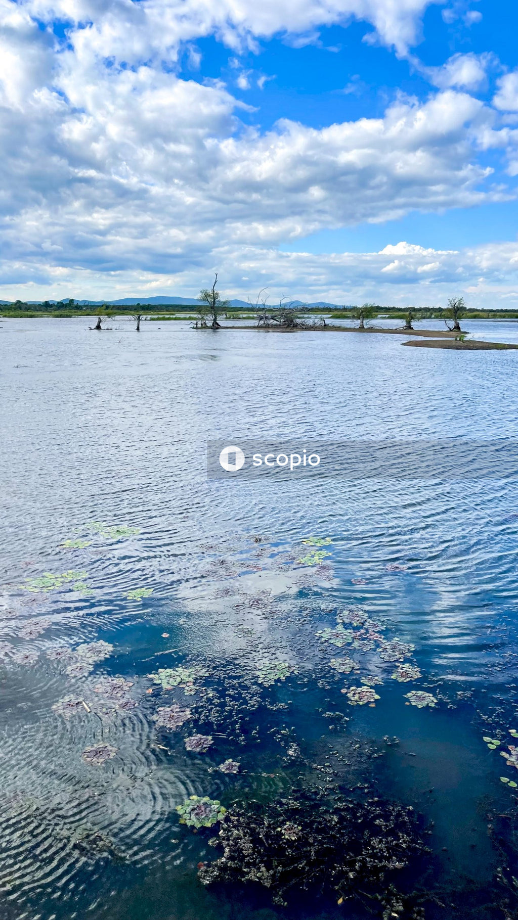Blue body of water under blue sky
