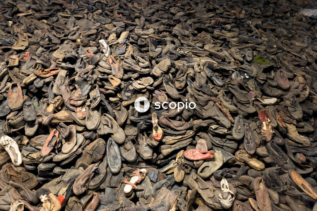 Brown and black dried leaves on ground