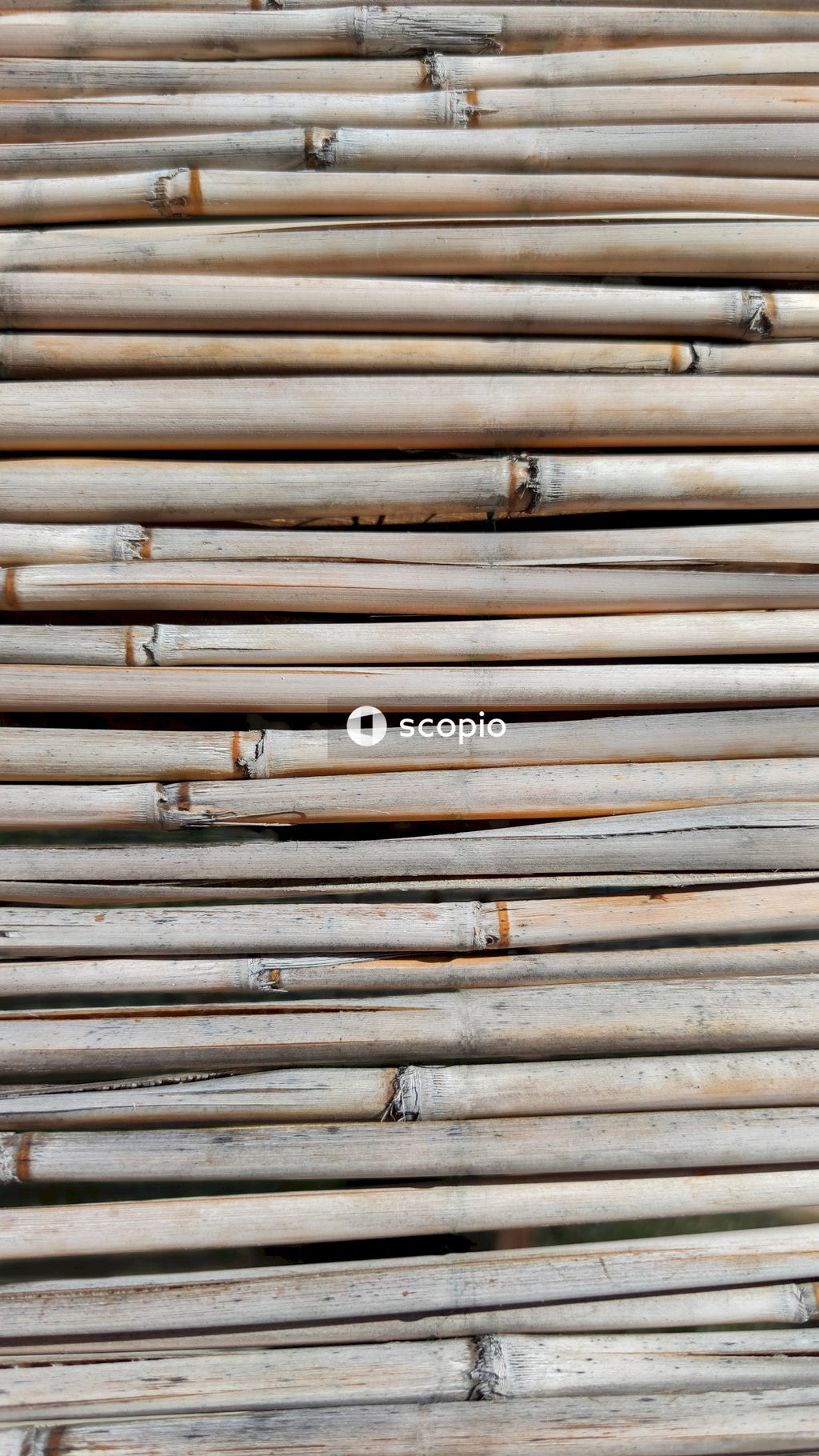 Brown and gray wooden fence
