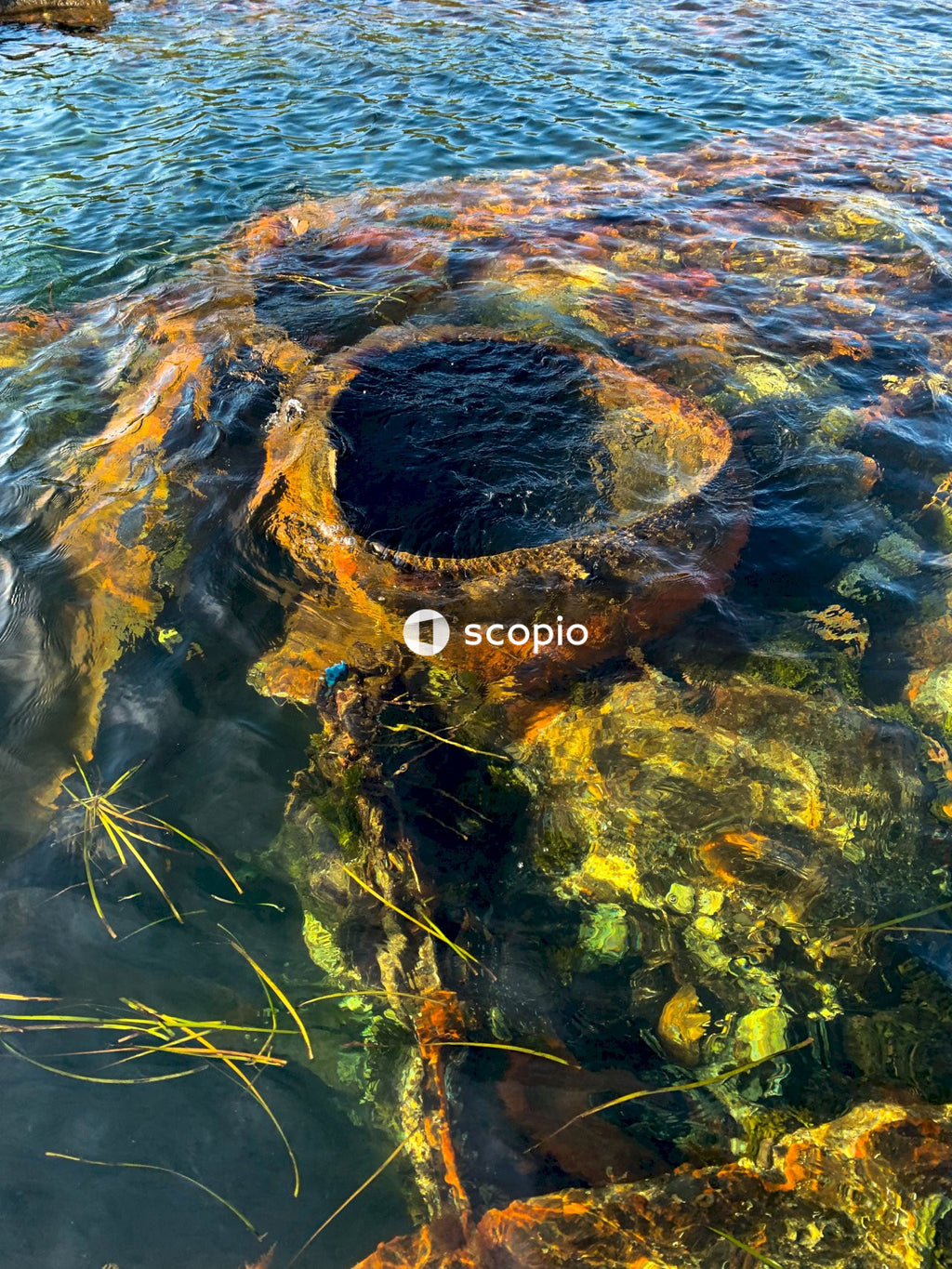 Brown and green stone on water