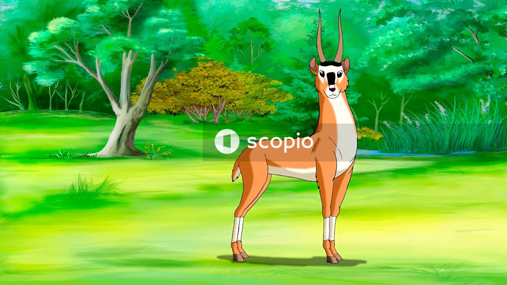 Brown and white fox illustration