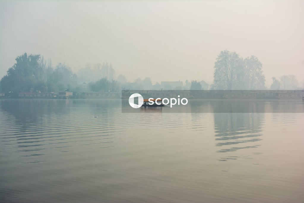 Brown boat on calm water near green trees