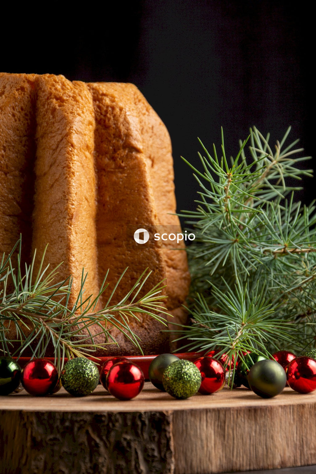 Brown bread on green pine tree