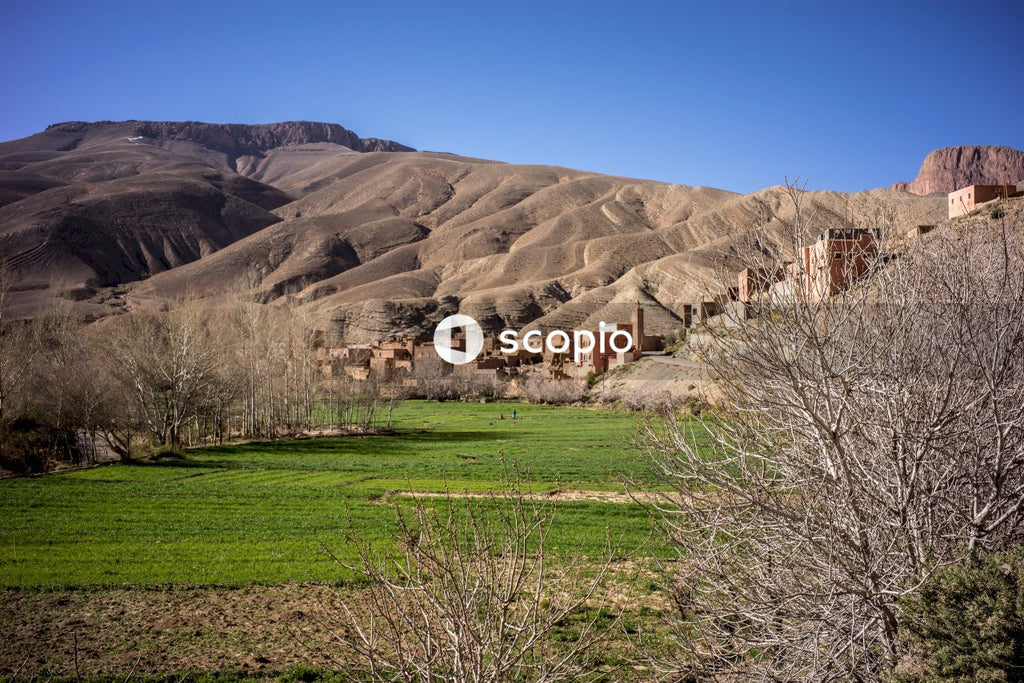 Brown concrete houses near brown mountain under blue sky