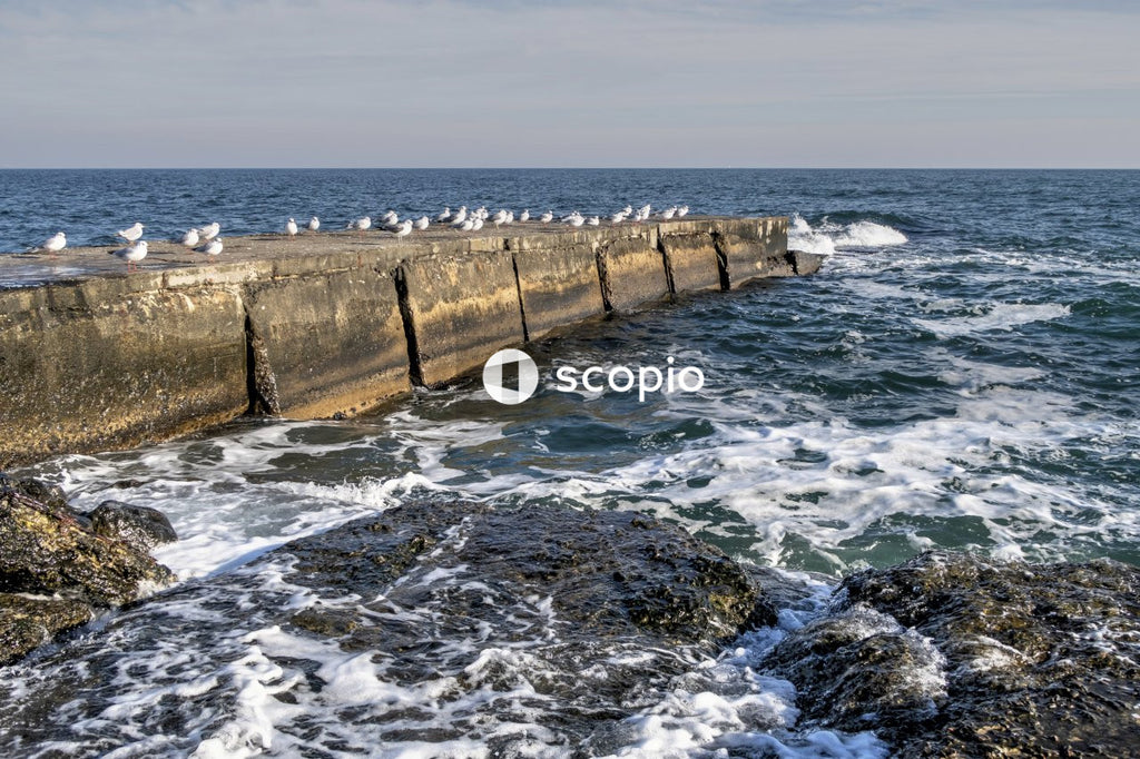 Brown concrete wall on sea