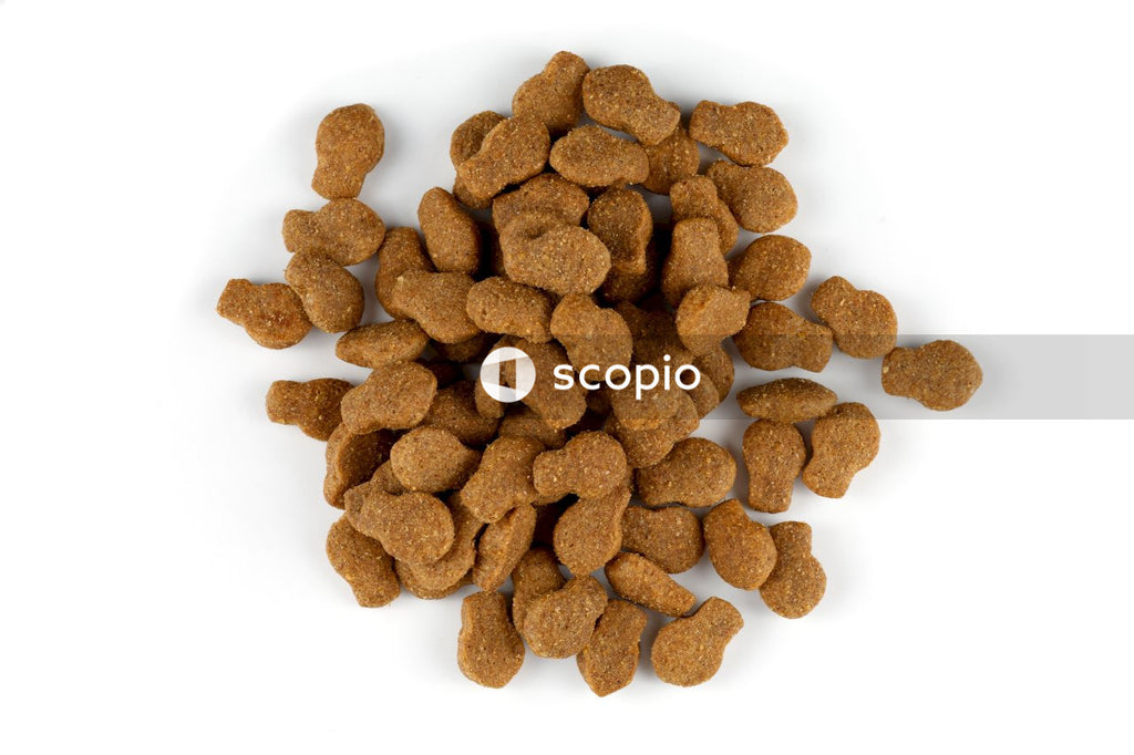 Brown cookies on white ceramic plate