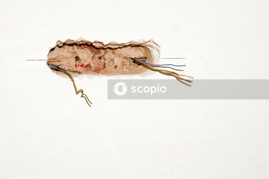Brown dried fish on white surface
