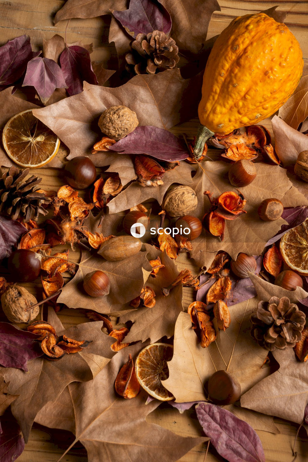 Brown dried leaves on purple textile