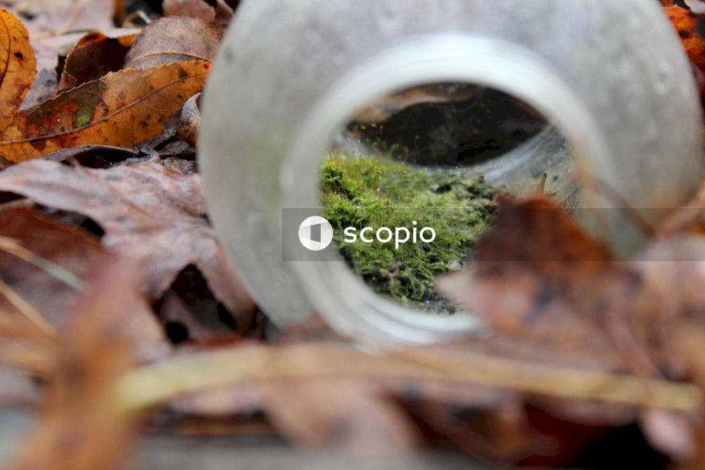 Brown dried leaves on round hole