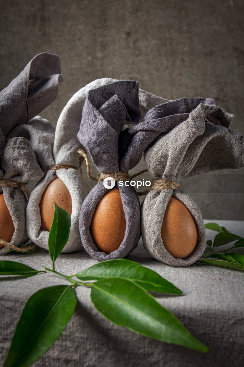 Brown egg on gray textile