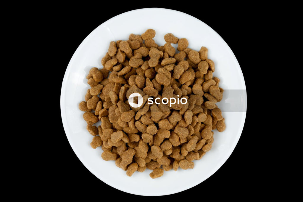 Brown food on white ceramic plate