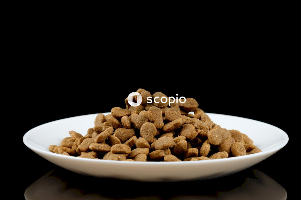Brown peanuts on white ceramic bowl