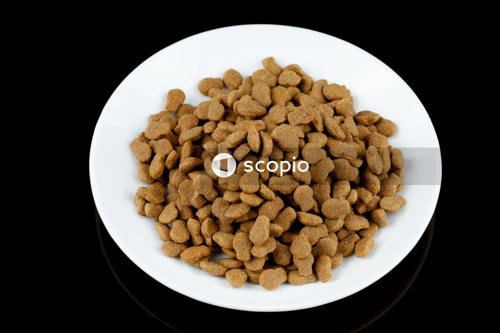 Brown peanuts on white ceramic plate