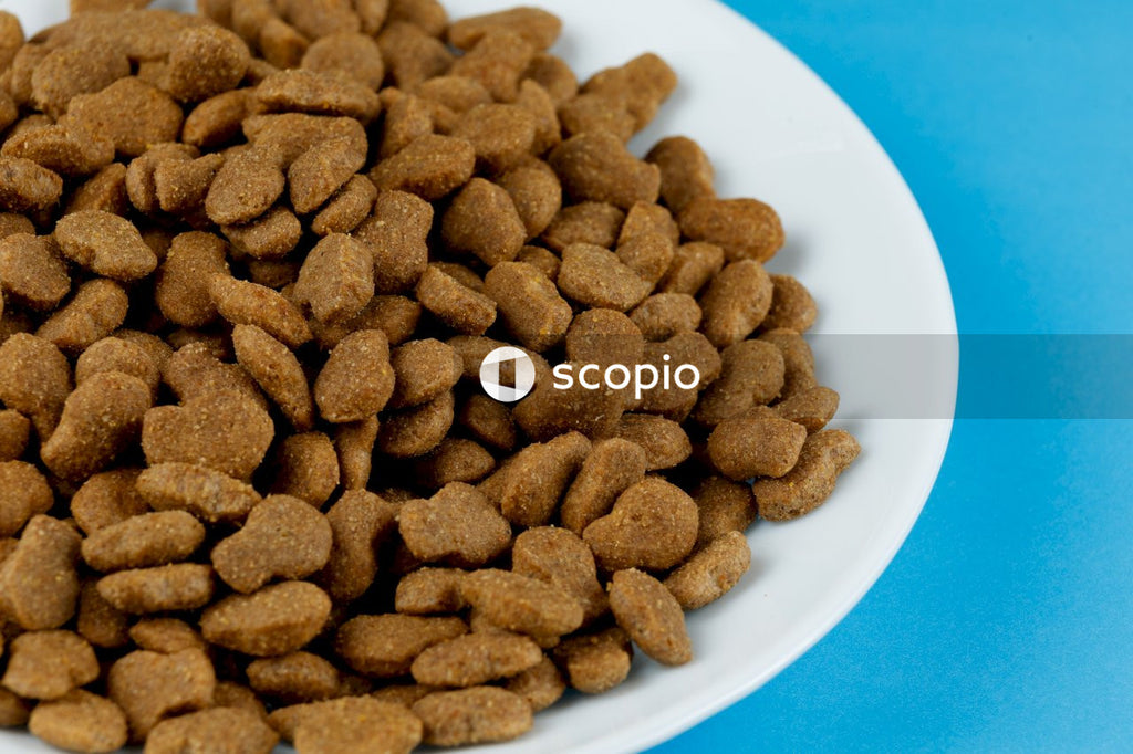 Brown peanuts on white ceramic plate