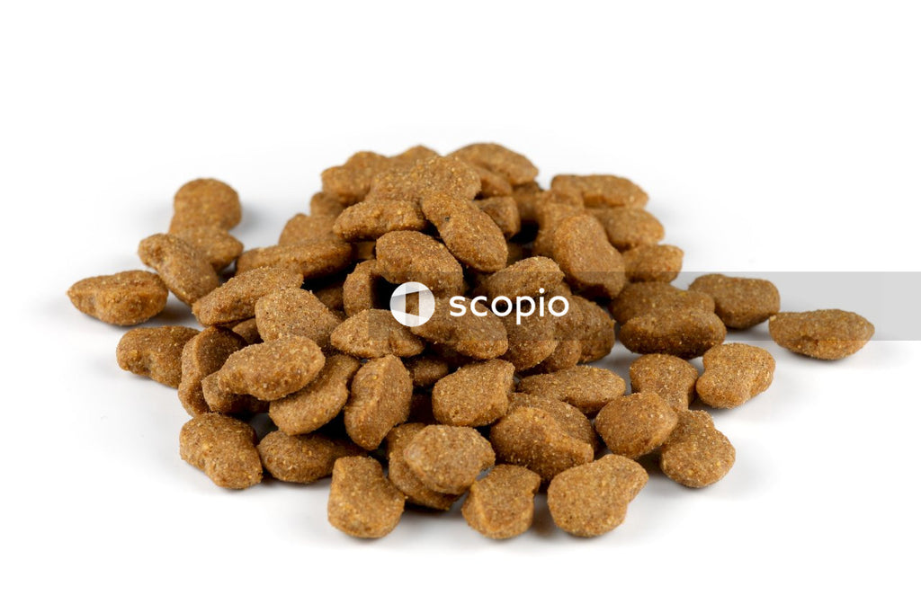 Brown peanuts on white surface