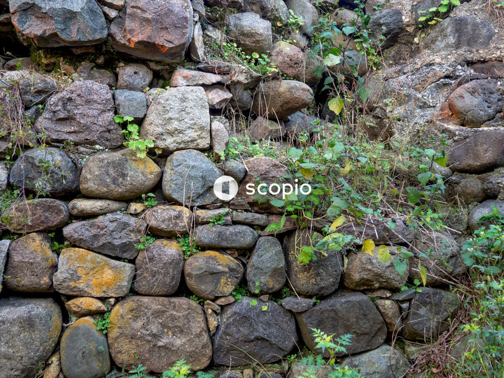 Brown rocks near green plants