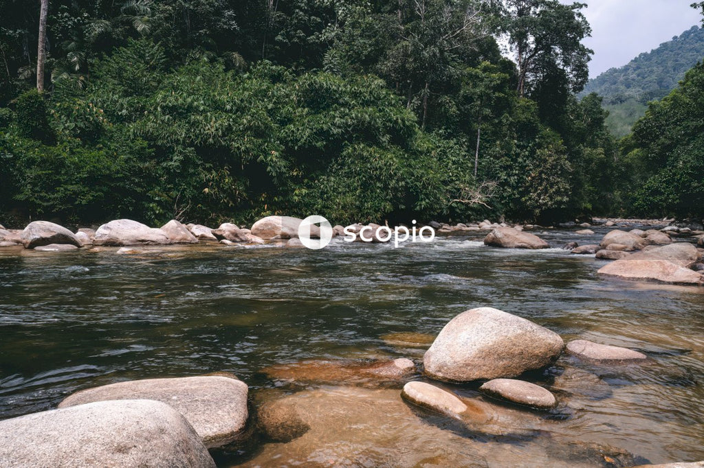 Brown rocks on river