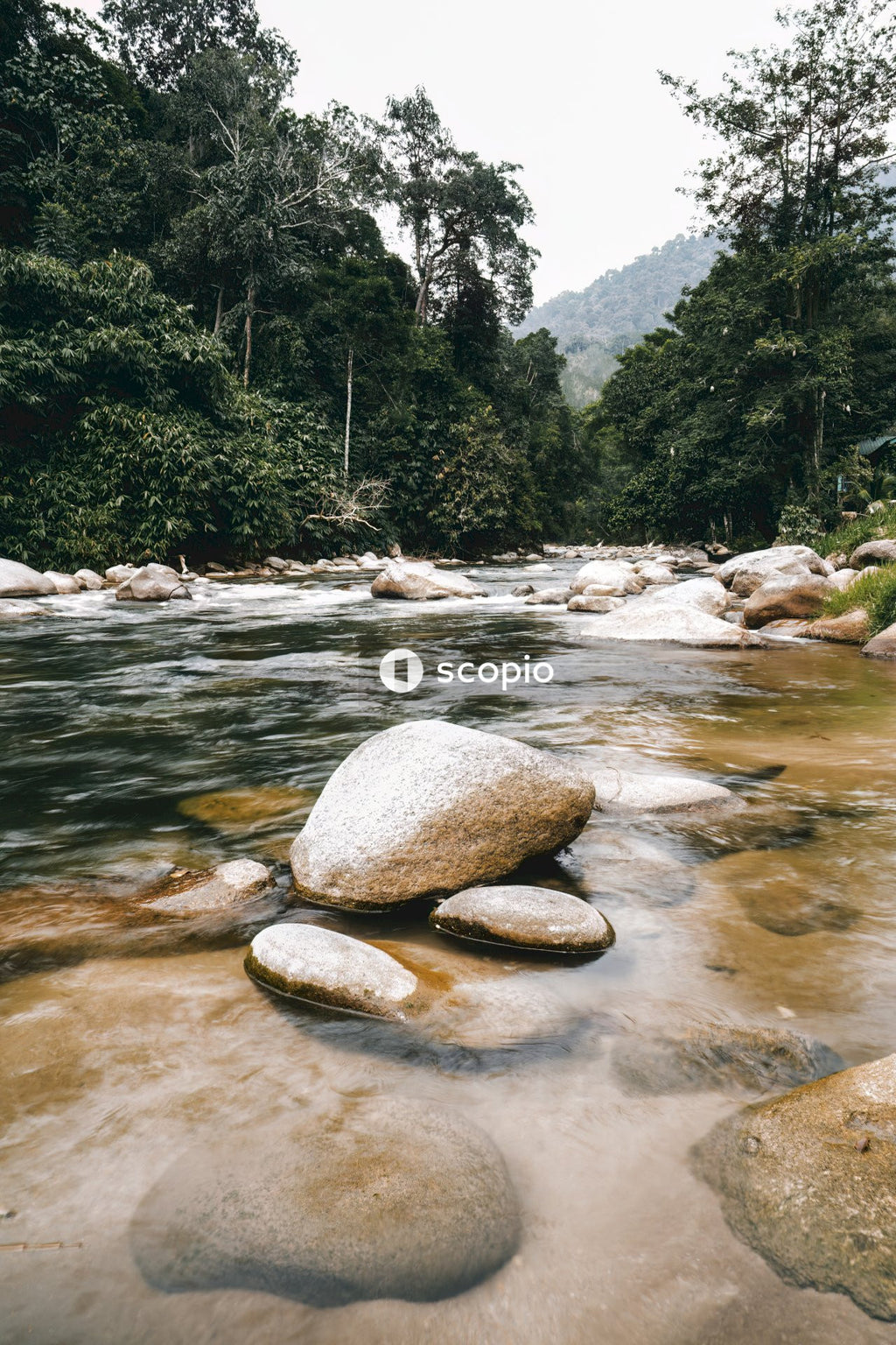 Brown rocks on river
