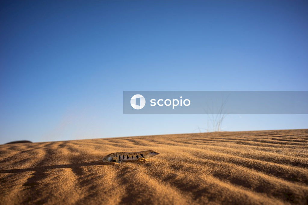 Brown sand under blue sky