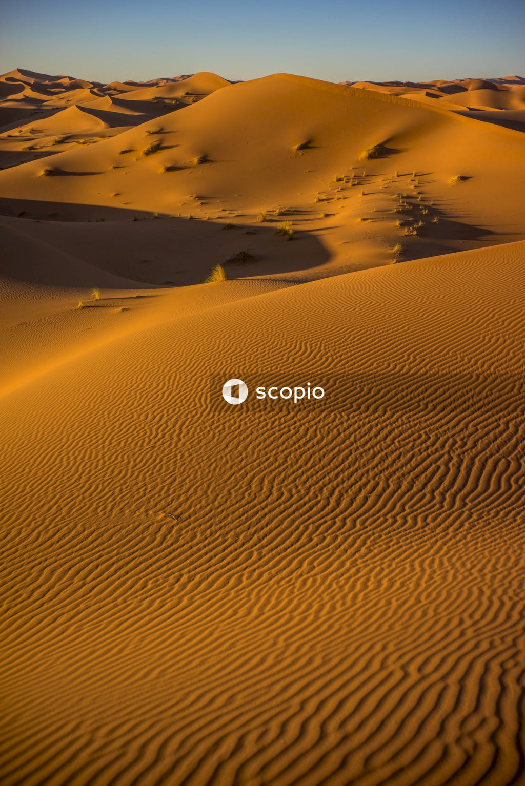 Brown sand under blue sky