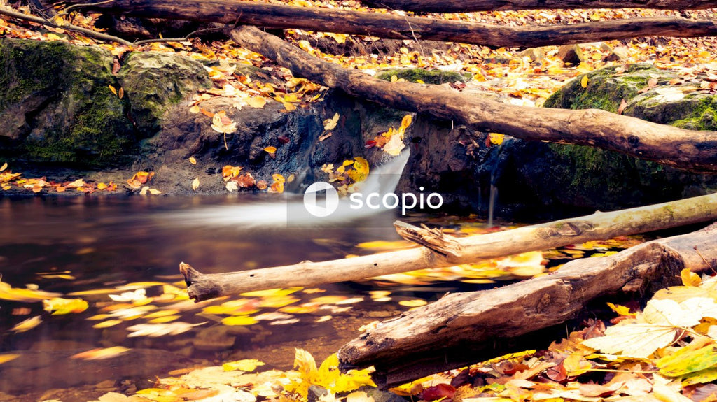 Brown tree log on river