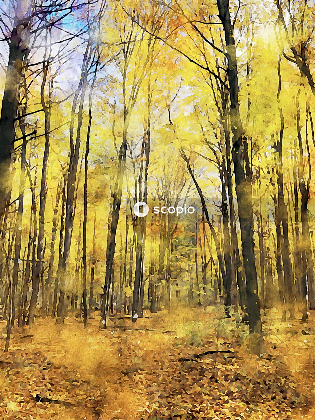 Brown trees on brown soil