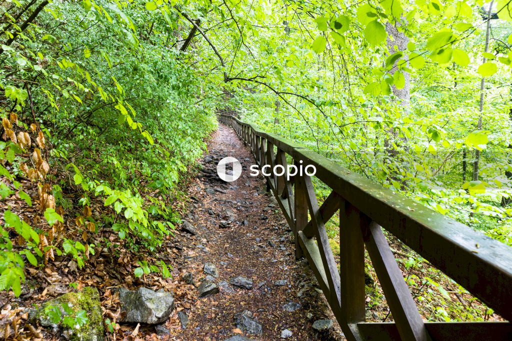 Brown wooden bridge over river