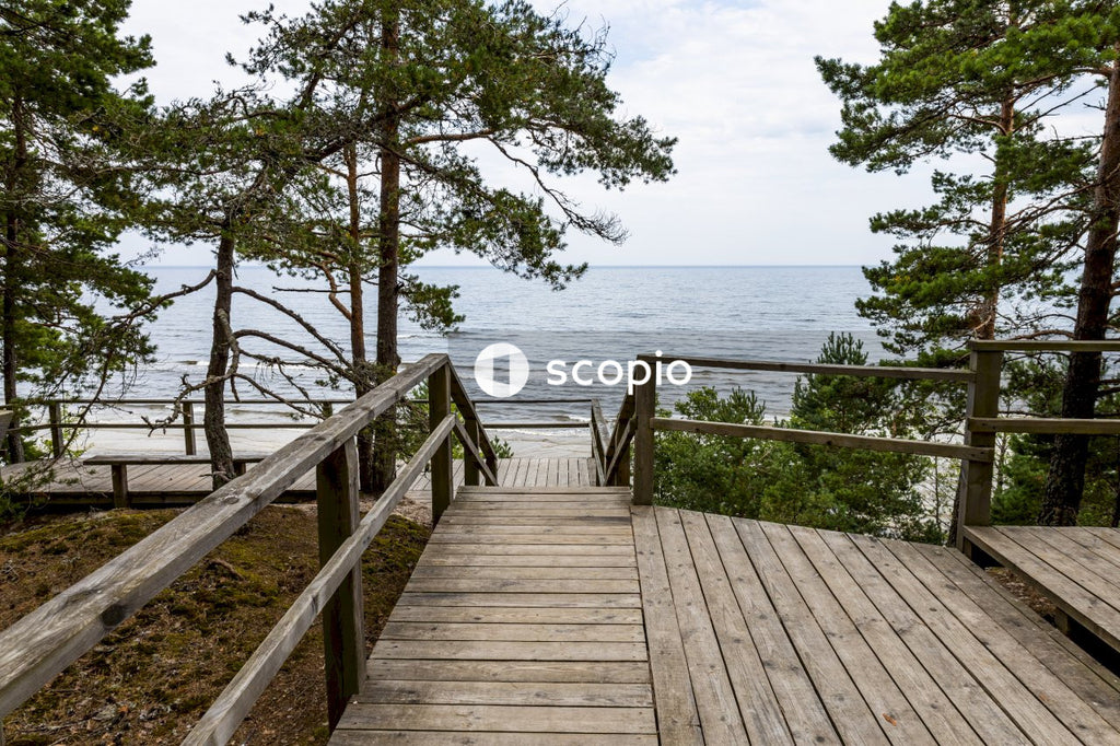 Brown wooden dock near green trees
