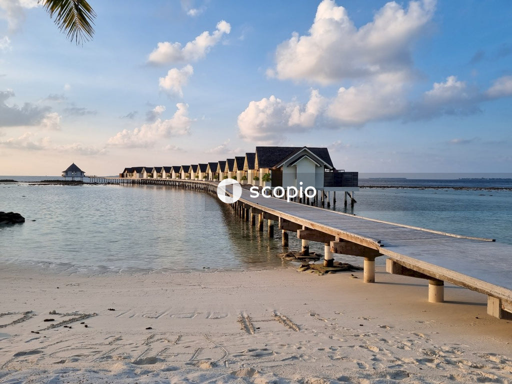Brown wooden dock on beach
