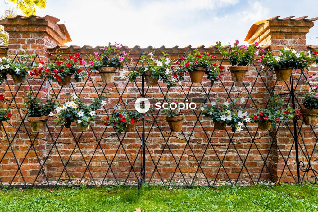 Brown wooden fence with green plants