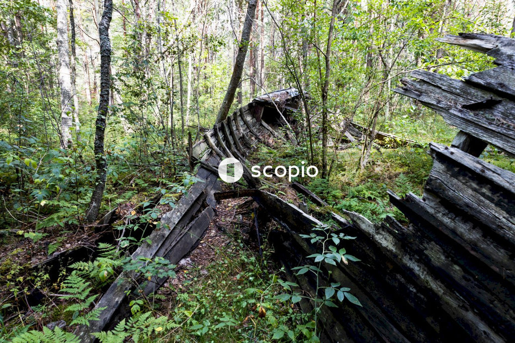 Brown wooden log on green grass field