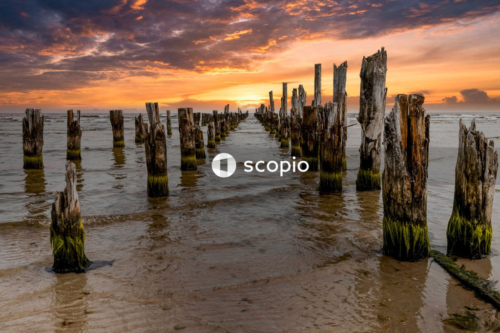 Brown wooden post on beach during sunset