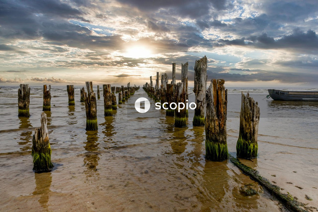 Brown wooden posts on sea shore
