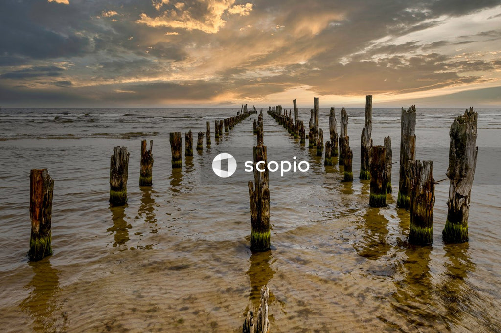 Brown wooden posts on sea water during sunset