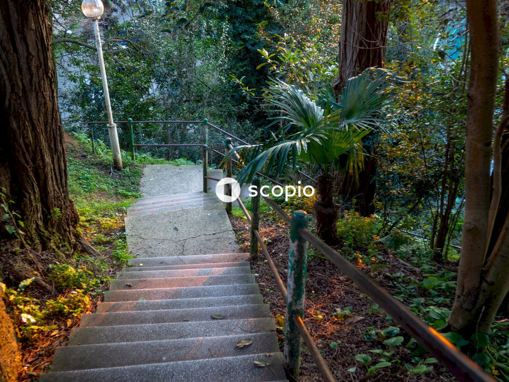 Brown wooden staircase between green trees