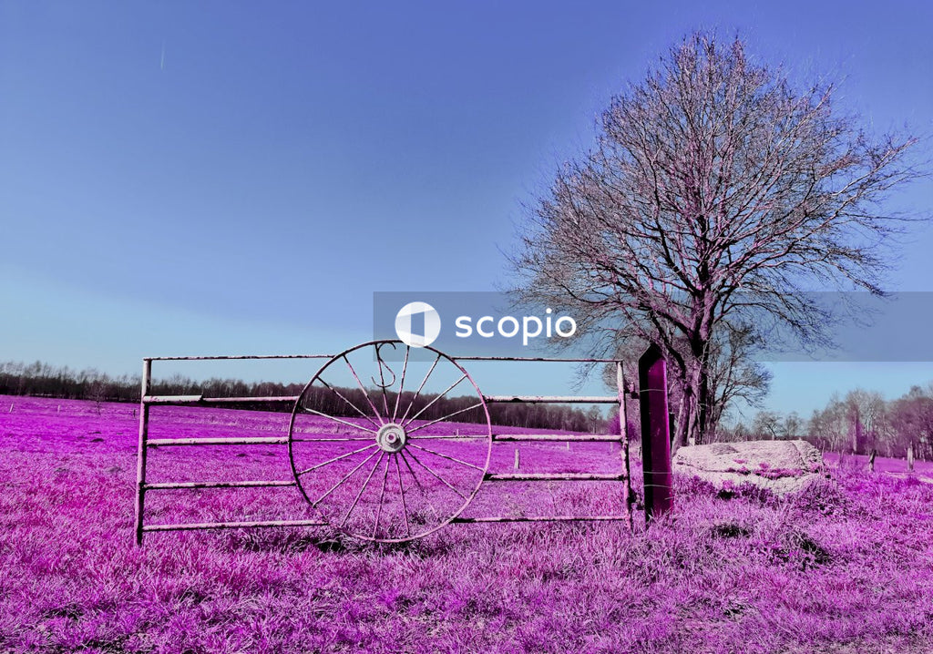 Brown wooden wheel on green grass field