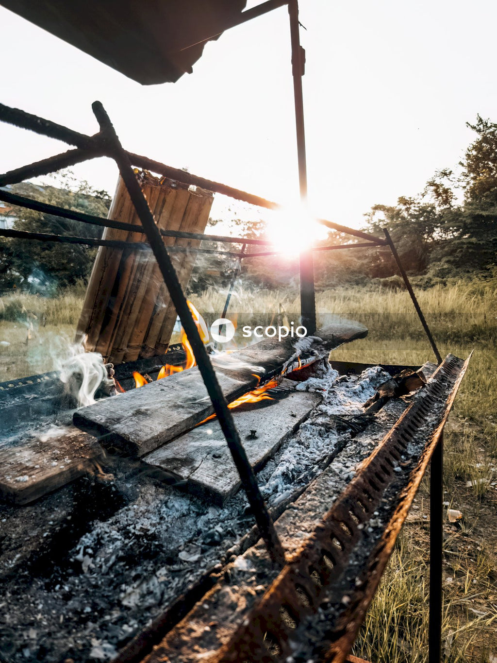 Burning woods on fire pit