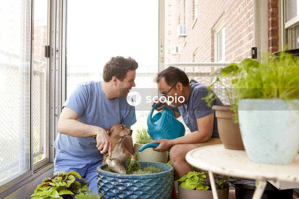Two men watering a plant and petting a puppy at home