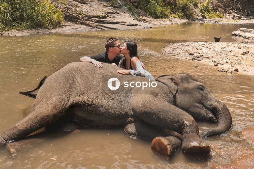 Couple kissing near elephant lying on the river