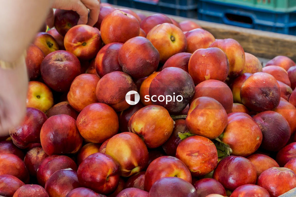 Red apples on blue plastic crate