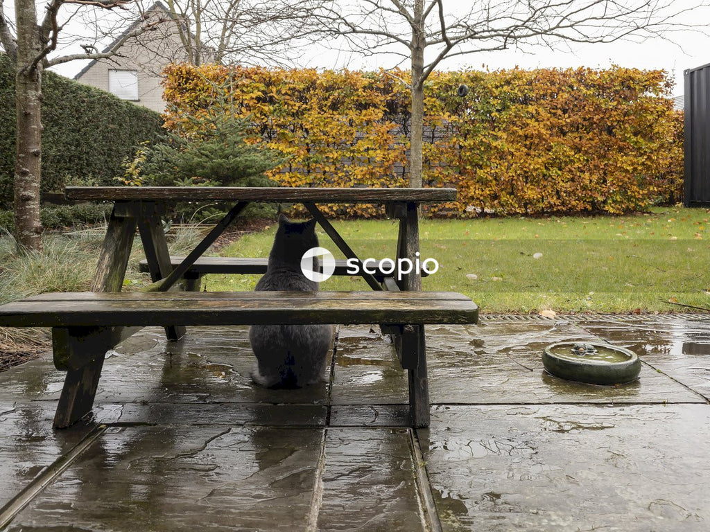 Cat under black wooden picnic table on gray concrete floor