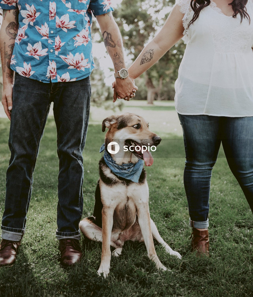 Man and woman holding hands while dog standing between them