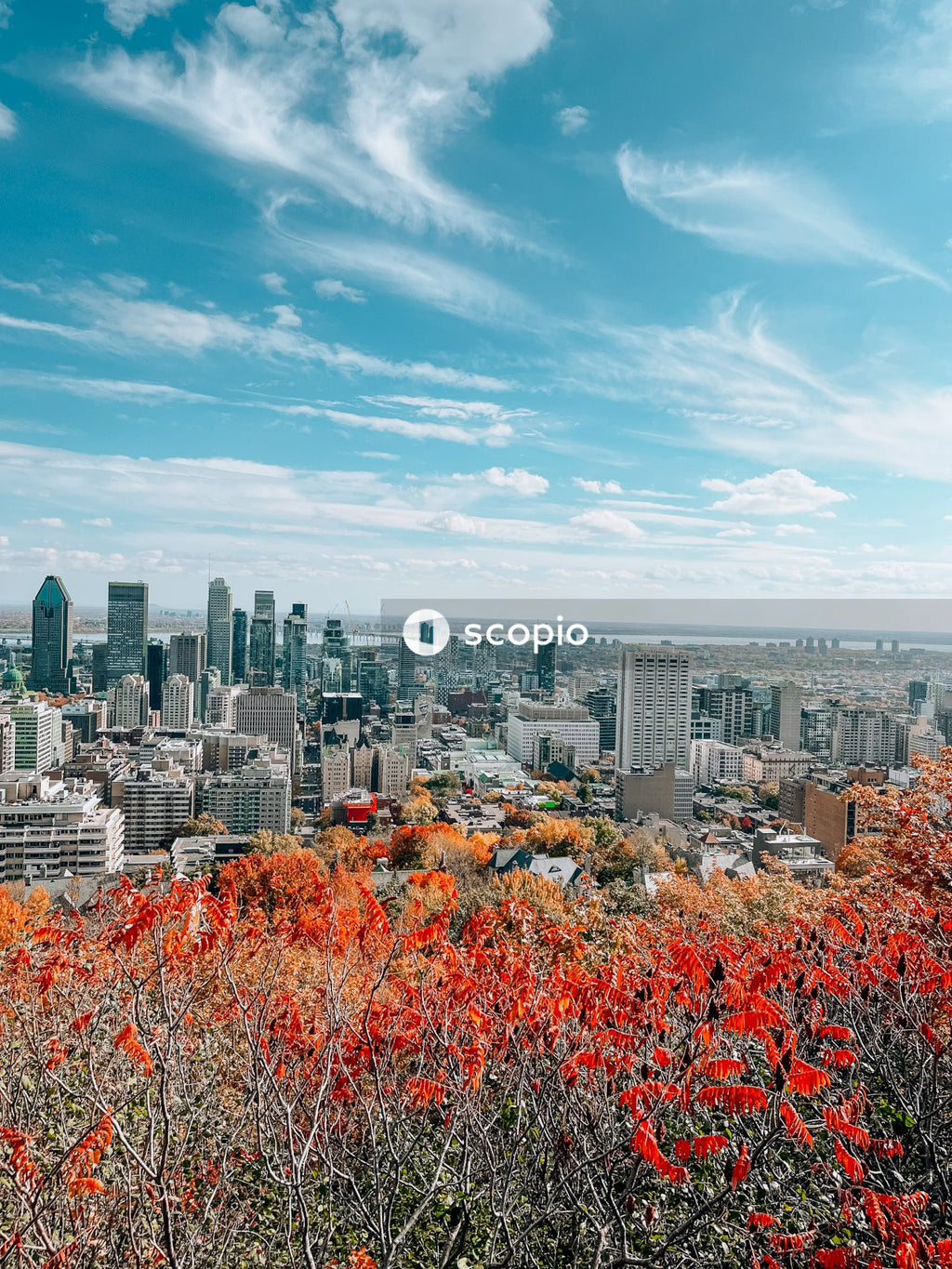 City skyline under blue sky