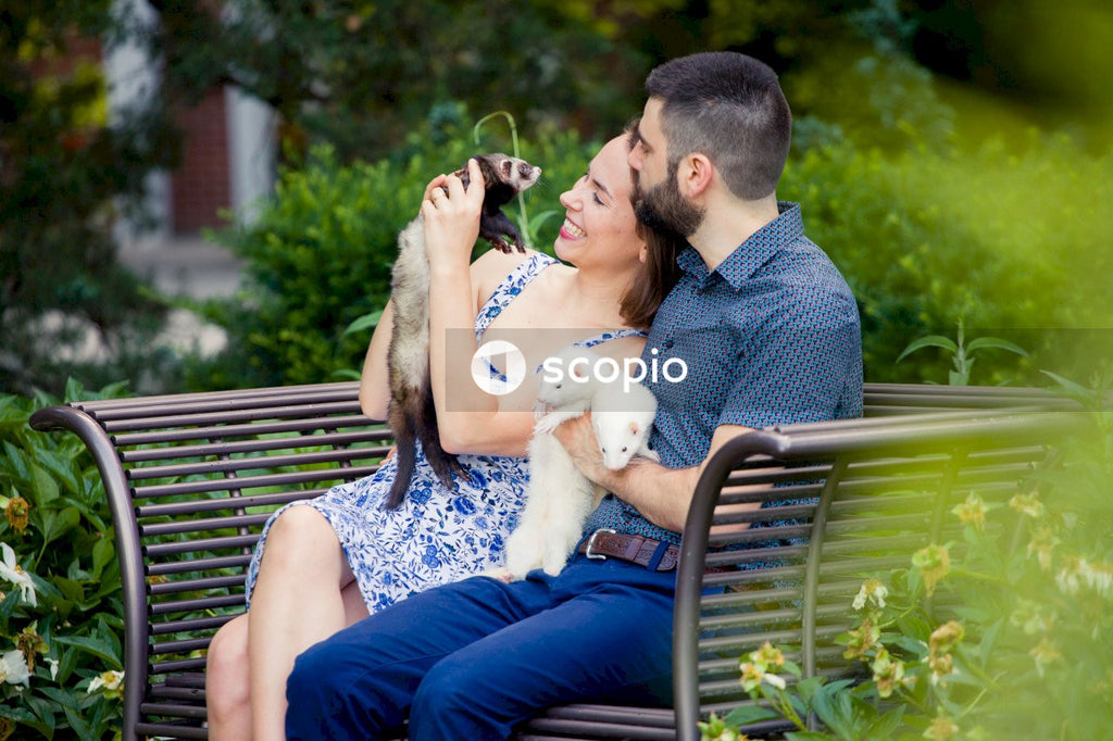 Couple sitting on bench and holding ferrets