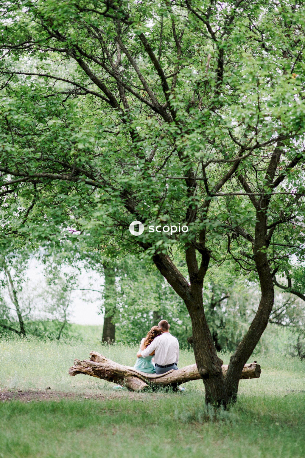 Couple sitting on grass field under green tree